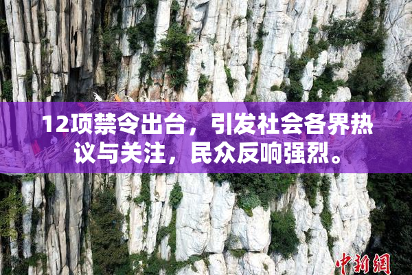 12项禁令出台，引发社会各界热议与关注，民众反响强烈。