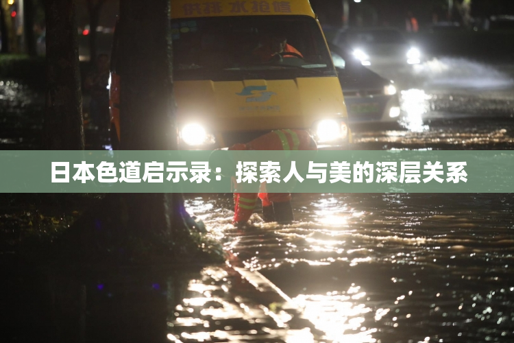 日本色道启示录：探索人与美的深层关系