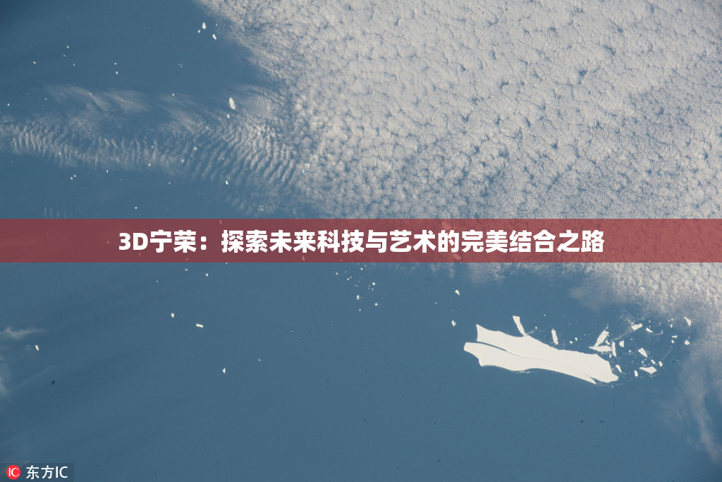 3D宁荣：探索未来科技与艺术的完美结合之路