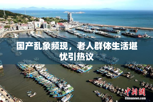 国产乱象频现，老人群体生活堪忧引热议