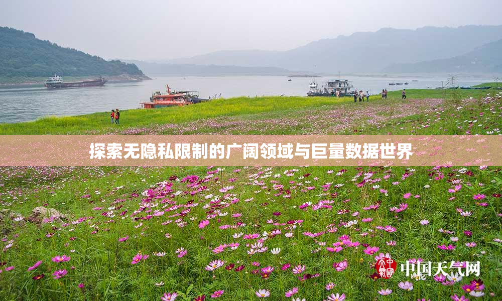 探索无隐私限制的广阔领域与巨量数据世界