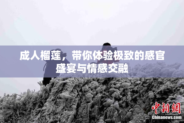 成人榴莲，带你体验极致的感官盛宴与情感交融