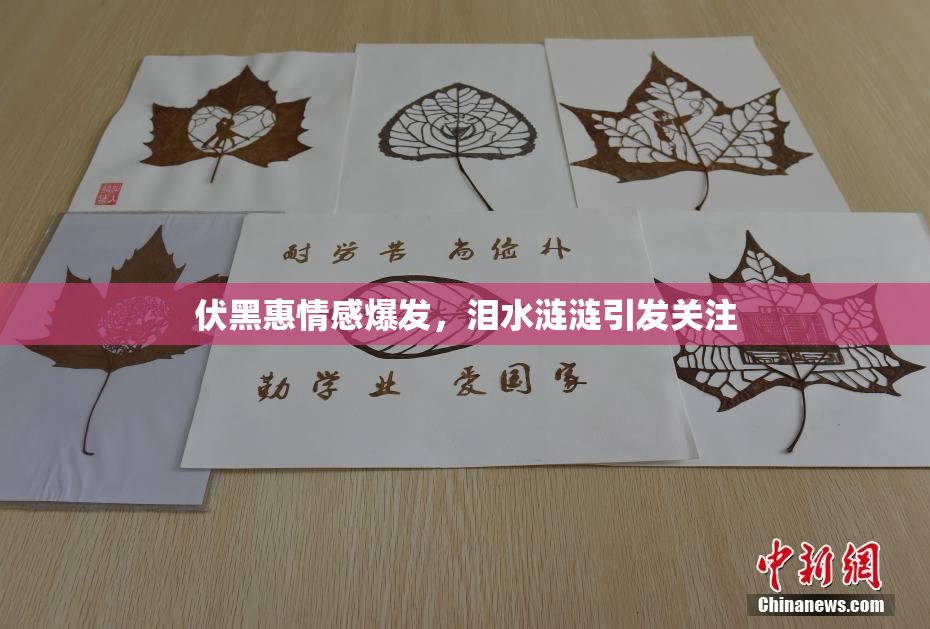 伏黑惠情感爆发，泪水涟涟引发关注