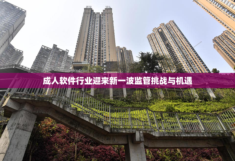 成人软件行业迎来新一波监管挑战与机遇