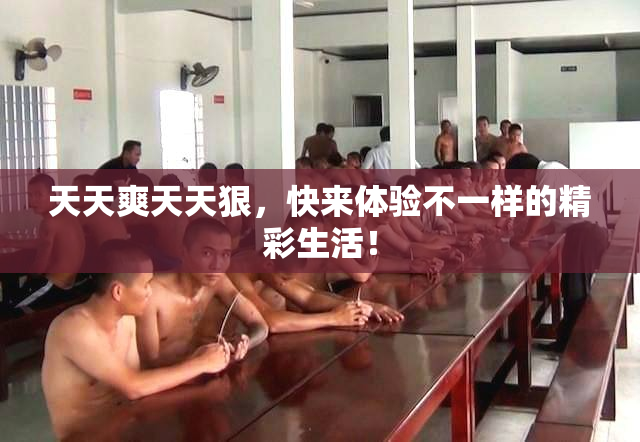 天天爽天天狠，快来体验不一样的精彩生活！