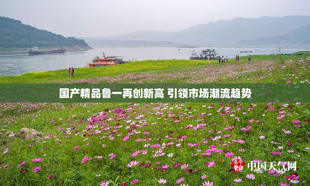 国产精品鲁一再创新高 引领市场潮流趋势
