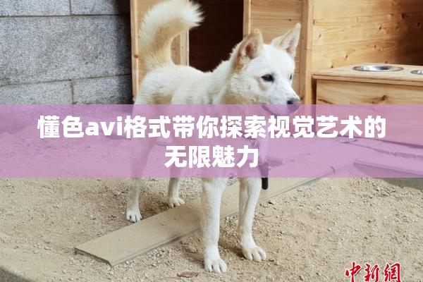 懂色avi格式带你探索视觉艺术的无限魅力