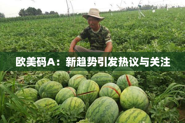 欧美码A：新趋势引发热议与关注