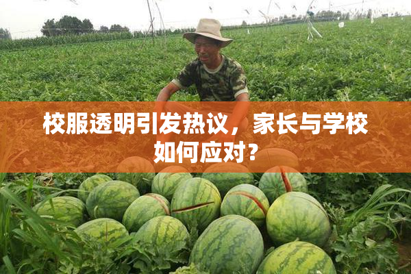 校服透明引发热议，家长与学校如何应对？