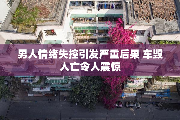 男人情绪失控引发严重后果 车毁人亡令人震惊