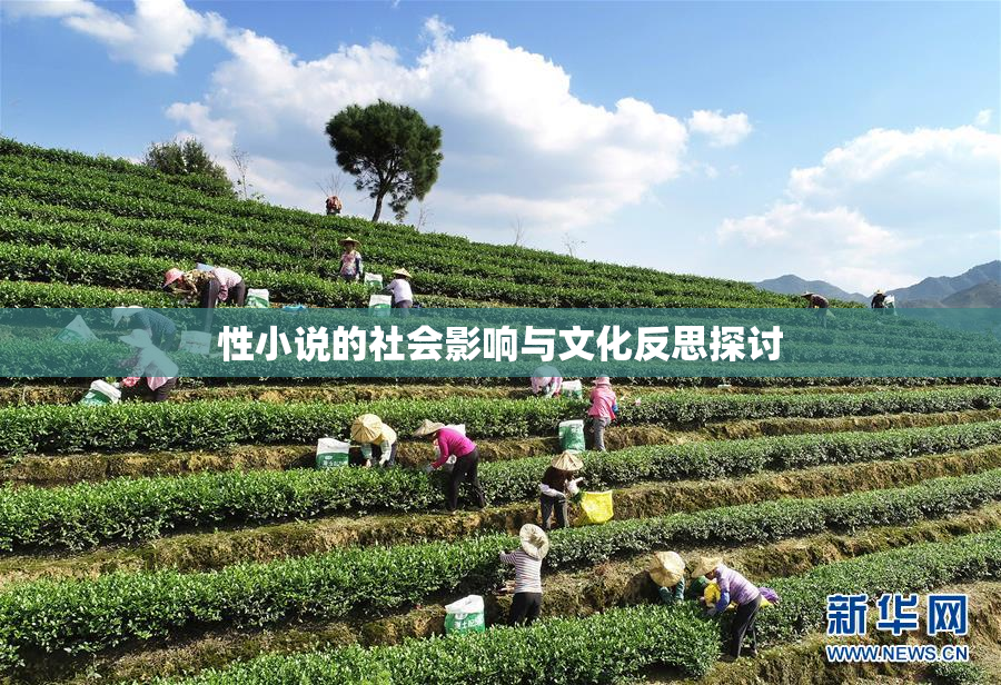 性小说的社会影响与文化反思探讨