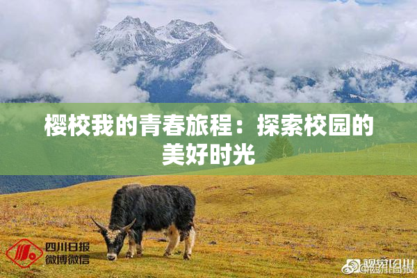 樱校我的青春旅程：探索校园的美好时光