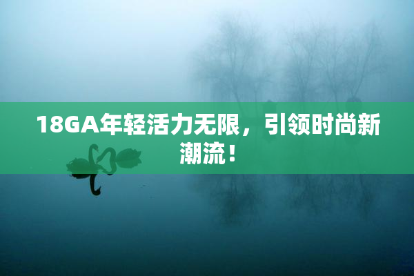 18GA年轻活力无限，引领时尚新潮流！