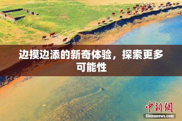 边摸边添的新奇体验，探索更多可能性