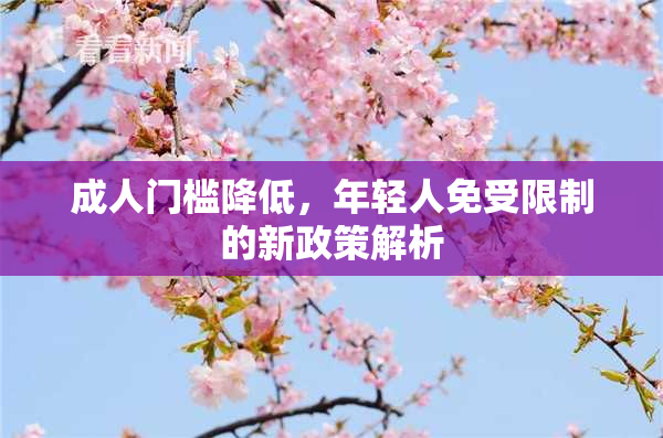 成人门槛降低，年轻人免受限制的新政策解析