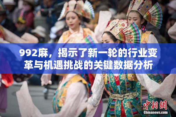 992麻，揭示了新一轮的行业变革与机遇挑战的关键数据分析