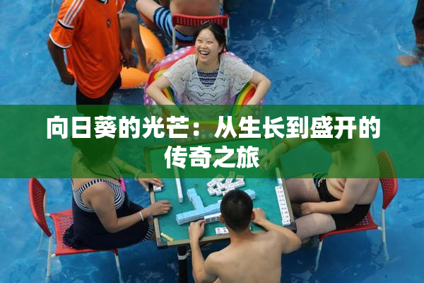 向日葵的光芒：从生长到盛开的传奇之旅