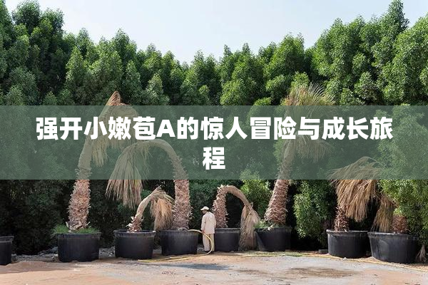 强开小嫩苞A的惊人冒险与成长旅程