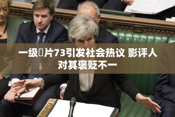一级婬片73引发社会热议 影评人对其褒贬不一