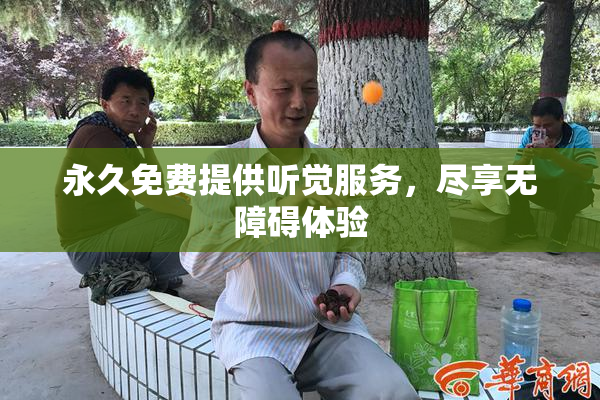 永久免费提供听觉服务，尽享无障碍体验