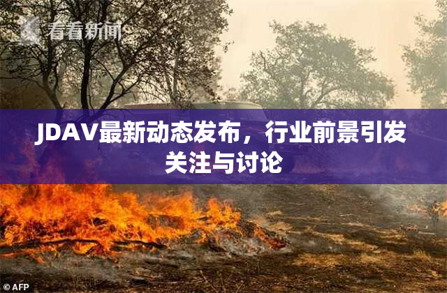 JDAV最新动态发布，行业前景引发关注与讨论