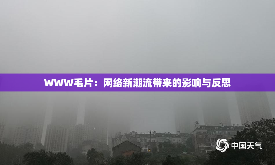 WWW毛片：网络新潮流带来的影响与反思