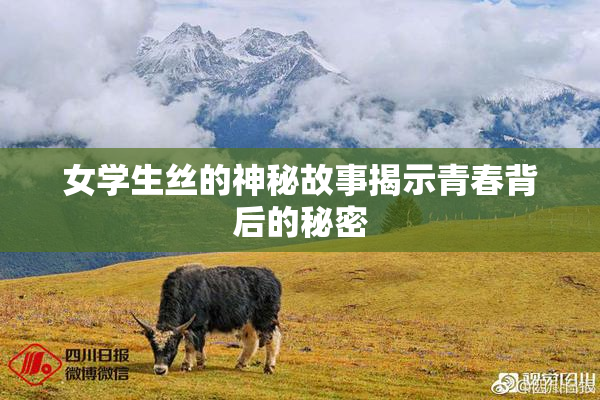 女学生丝的神秘故事揭示青春背后的秘密