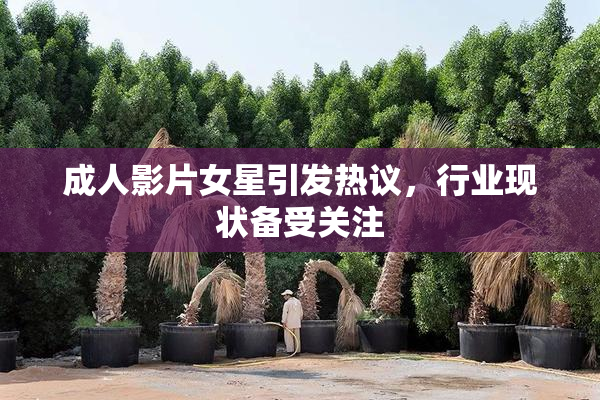 成人影片女星引发热议，行业现状备受关注