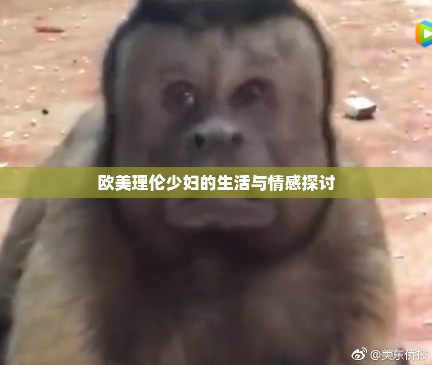 欧美理伦少妇的生活与情感探讨
