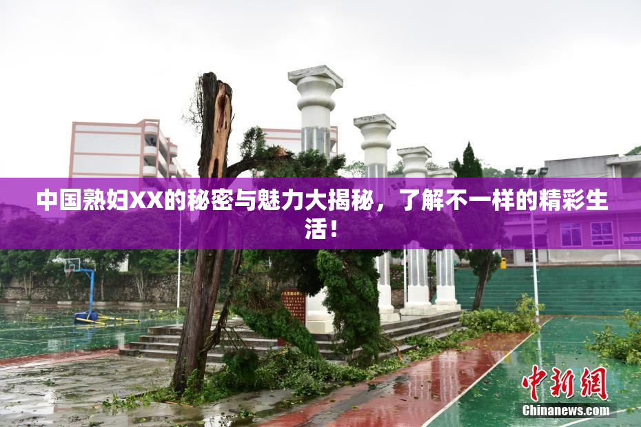 中国熟妇XX的秘密与魅力大揭秘，了解不一样的精彩生活！