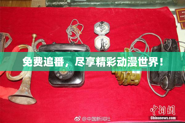免费追番，尽享精彩动漫世界！