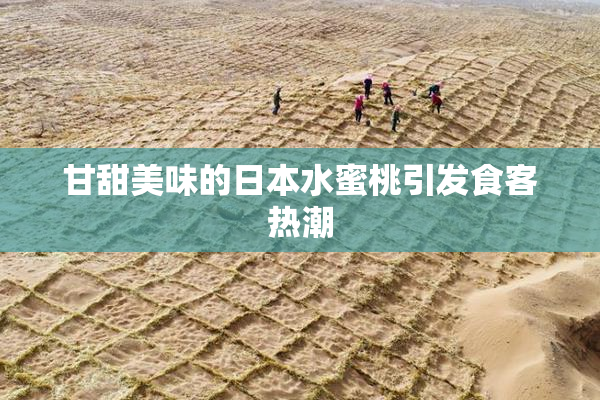 甘甜美味的日本水蜜桃引发食客热潮