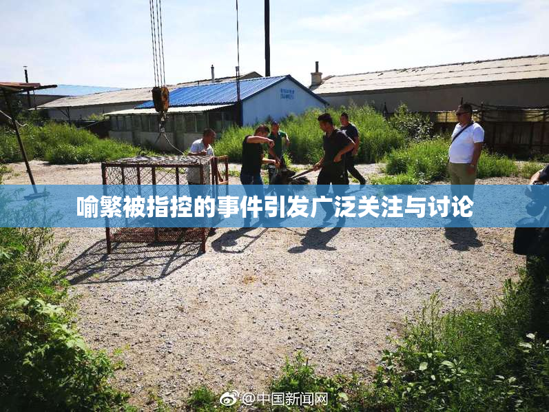 喻繁被指控的事件引发广泛关注与讨论