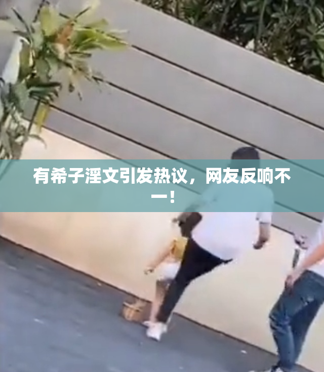 有希子淫文引发热议，网友反响不一！