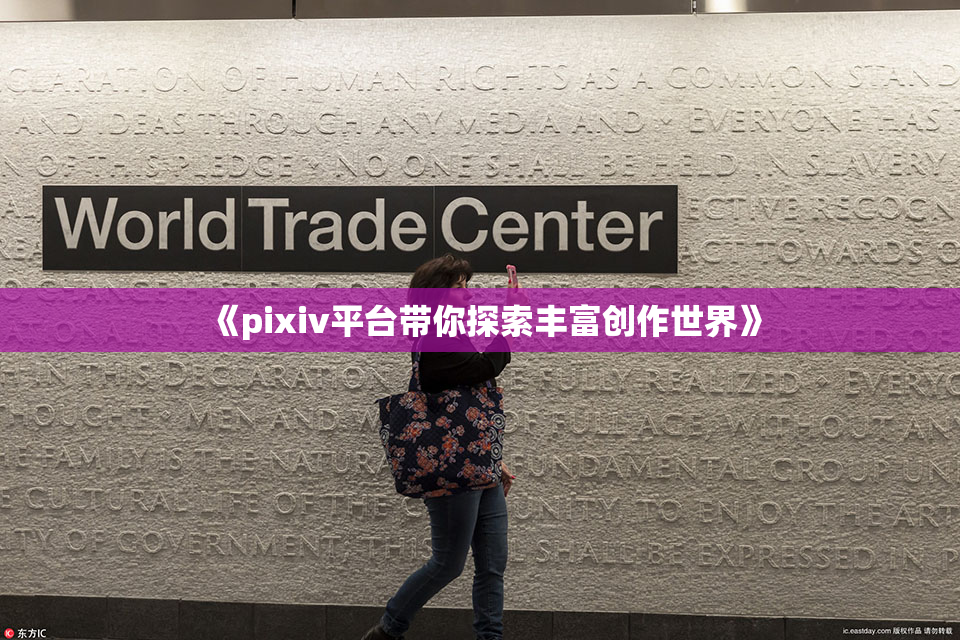 《pixiv平台带你探索丰富创作世界》