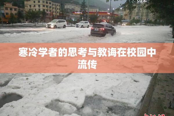 寒冷学者的思考与教诲在校园中流传