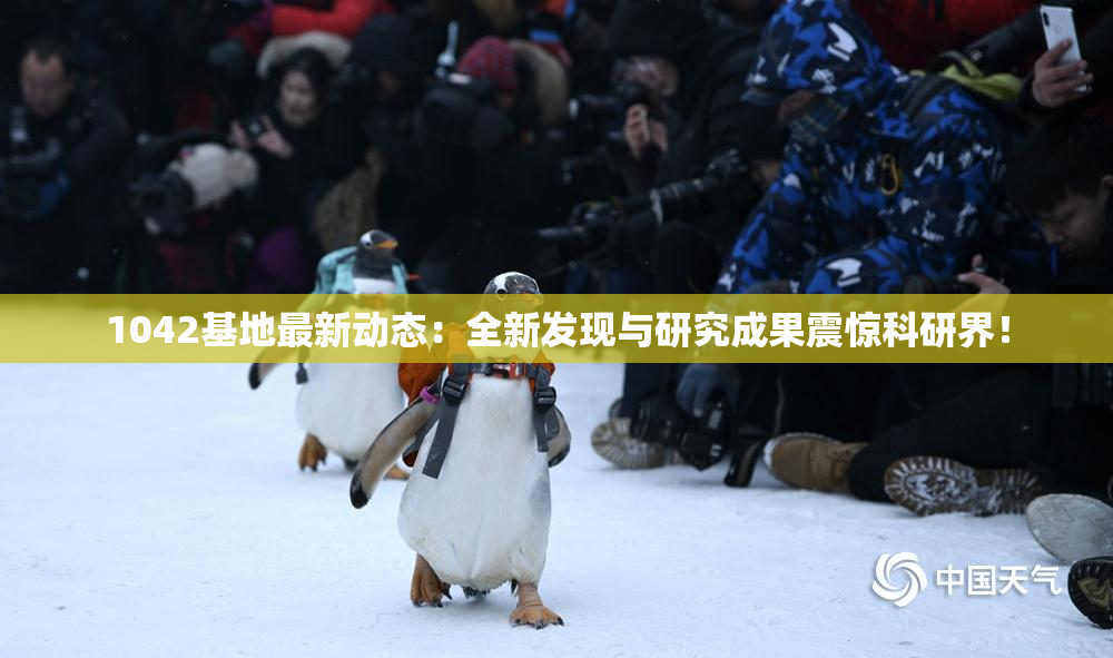 1042基地最新动态：全新发现与研究成果震惊科研界！