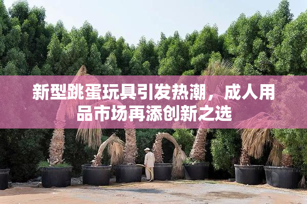 新型跳蛋玩具引发热潮，成人用品市场再添创新之选
