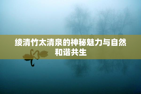 绫清竹太清泉的神秘魅力与自然和谐共生