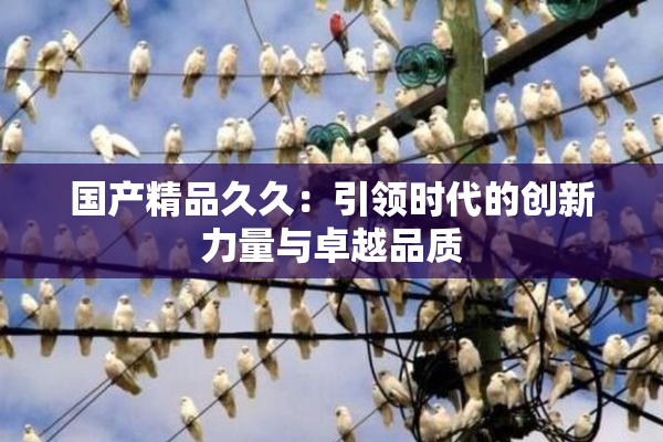 国产精品久久：引领时代的创新力量与卓越品质