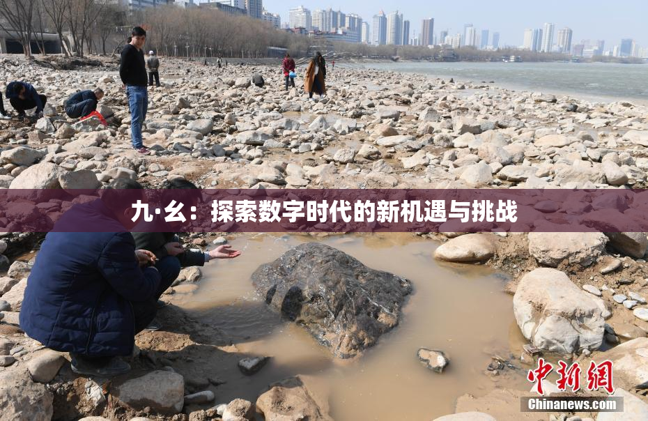 九·幺：探索数字时代的新机遇与挑战