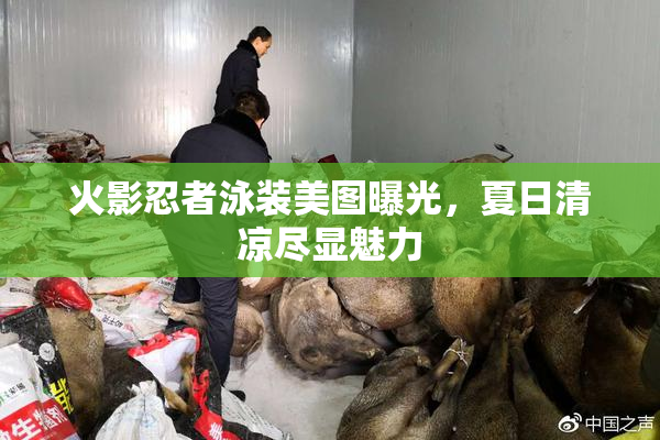 火影忍者泳装美图曝光，夏日清凉尽显魅力