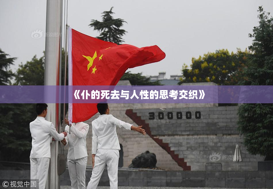 《仆的死去与人性的思考交织》