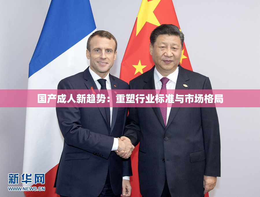 国产成人新趋势：重塑行业标准与市场格局