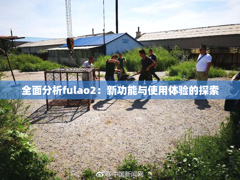 全面分析fulao2：新功能与使用体验的探索