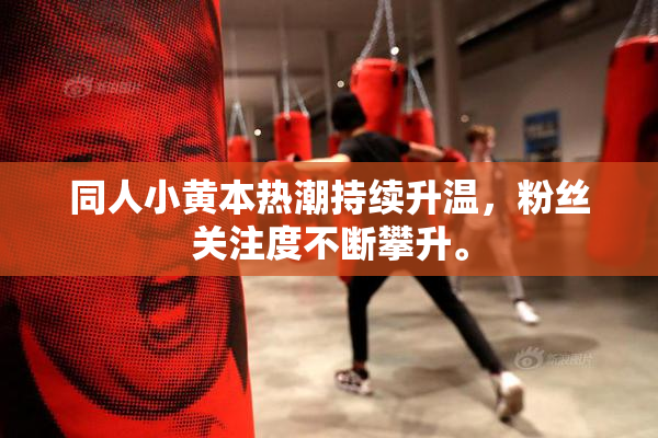 同人小黄本热潮持续升温，粉丝关注度不断攀升。