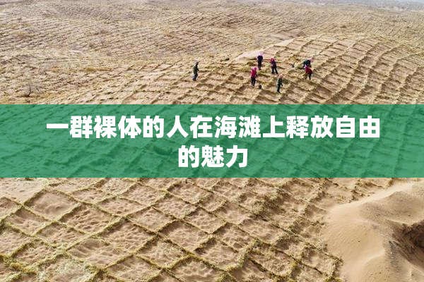 一群裸体的人在海滩上释放自由的魅力