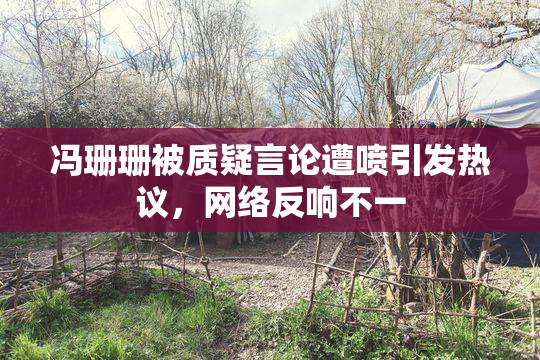 冯珊珊被质疑言论遭喷引发热议，网络反响不一