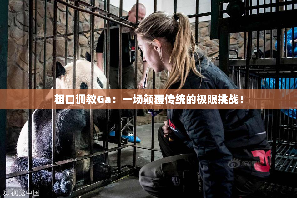 粗口调教Ga：一场颠覆传统的极限挑战！
