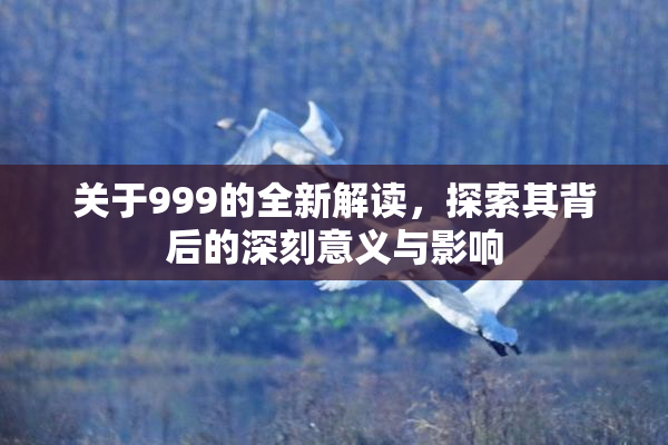 关于999的全新解读，探索其背后的深刻意义与影响